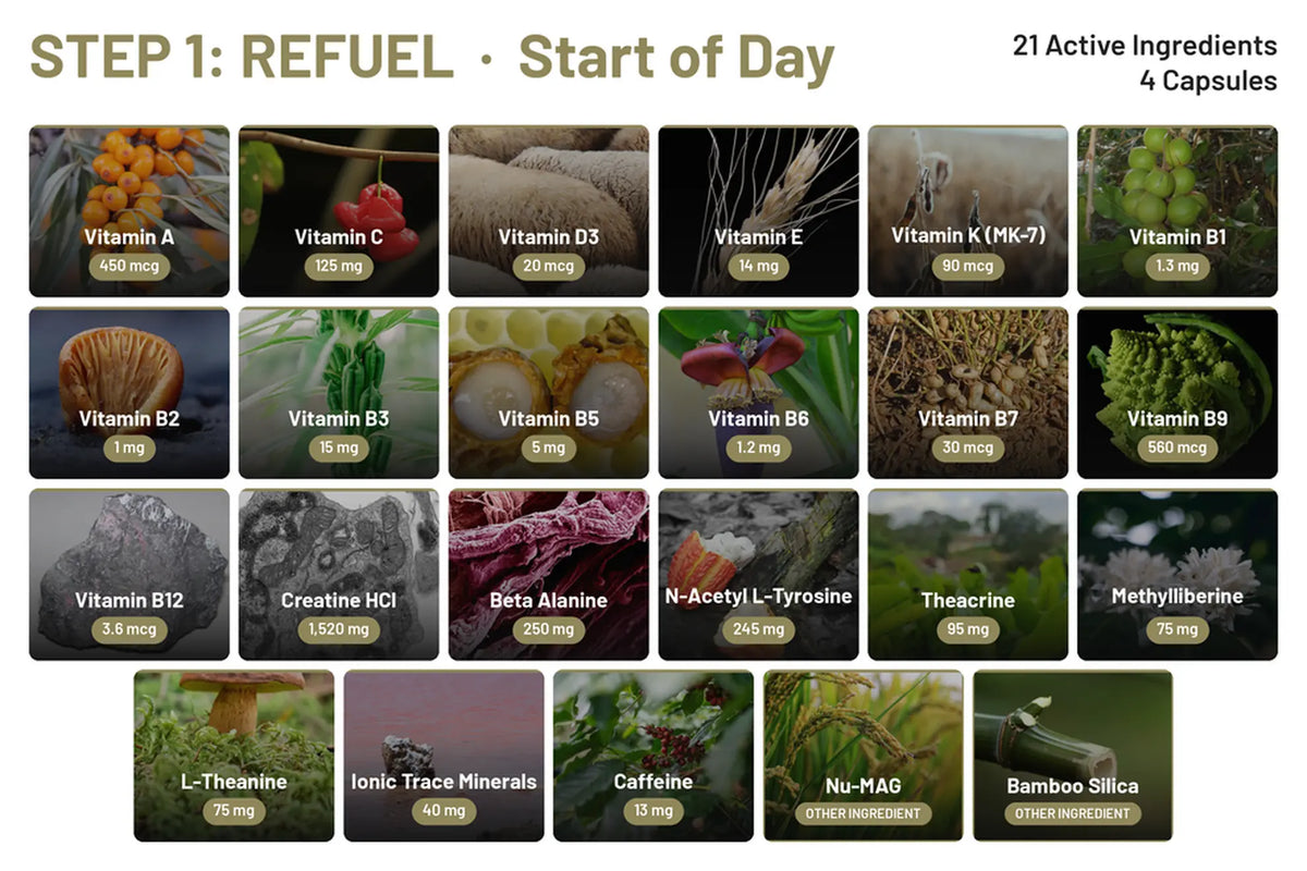 STEP 1 REFUEL ingredient grid, 21 active ingredients in 4 capsules