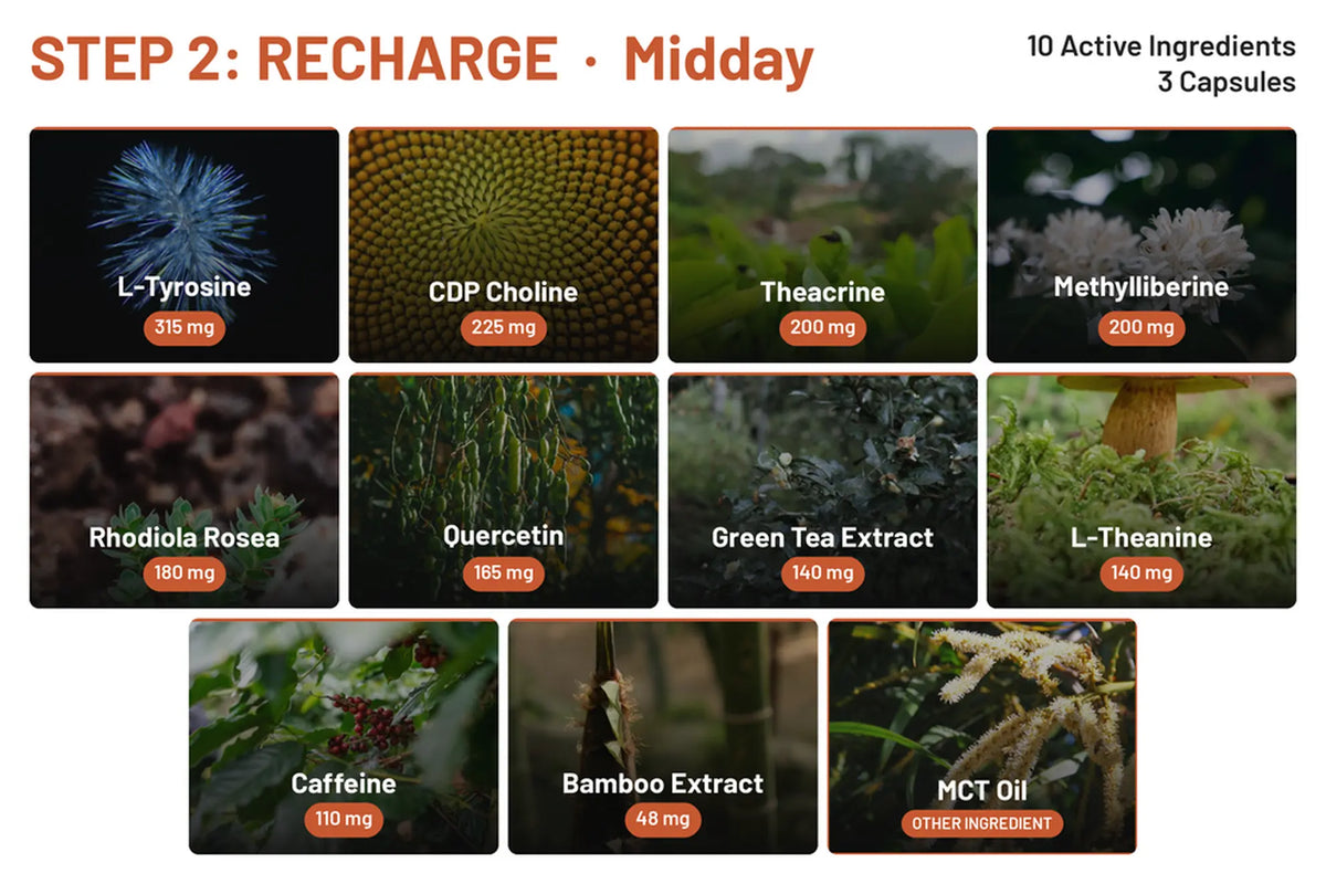 STEP 2 RECHARGE ingredient grid, 10 active ingredients in 3 capsules