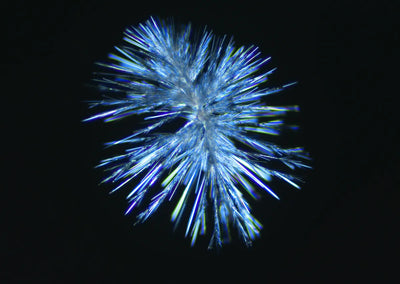The amino acid named after cheese, visible as white crystals in long-aged wheels; pictured here as tyrosine chemistry self-assembling into crystal starbursts under a polarizing microscope. Ours is the identical molecule, produced by clean fermentation.