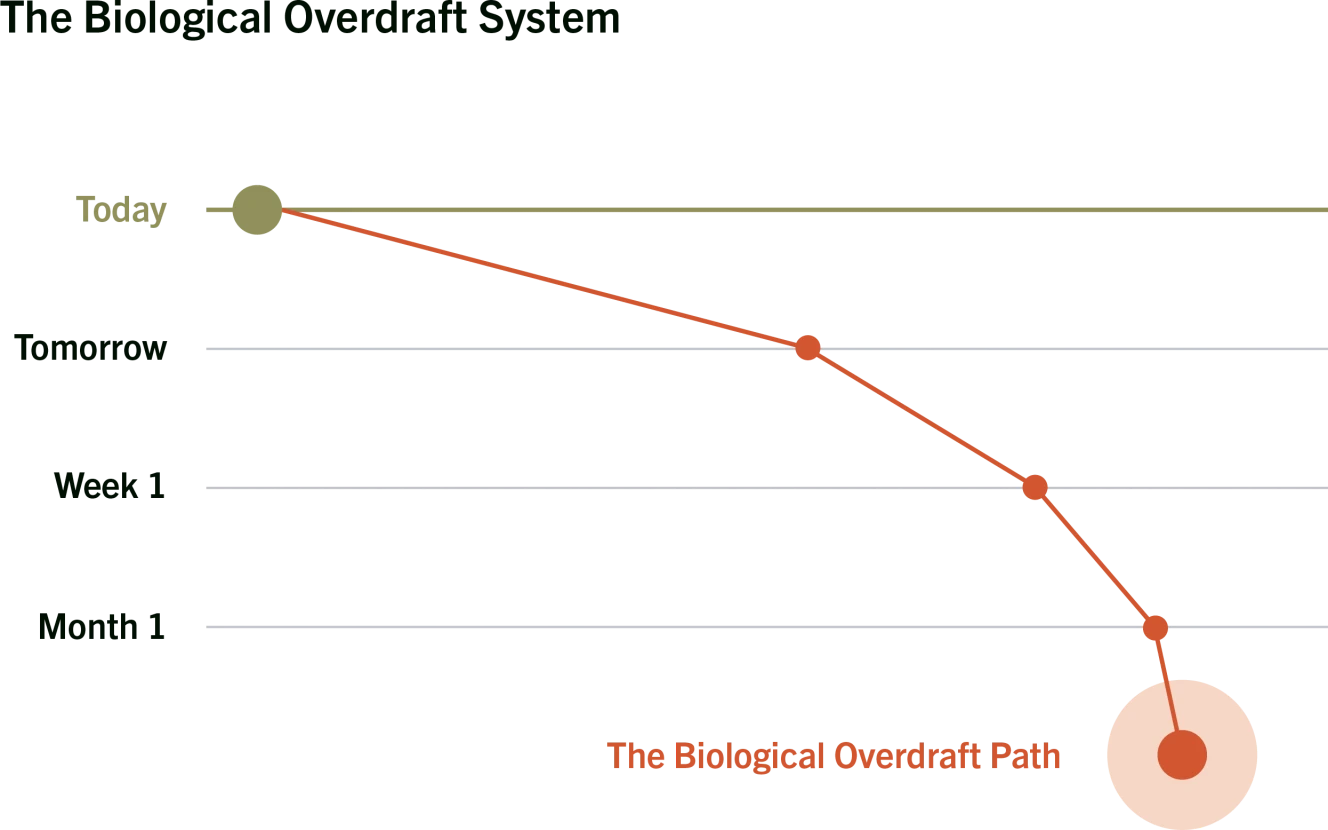 A ledger-style chart titled The Biological Overdraft System. An olive baseline marks where you need to be to perform, labeled Today. A rust line starts beside it and curves steeply downward across Tomorrow, Week 1 and Month 1, ending at a point labeled The Biological Overdraft Path.